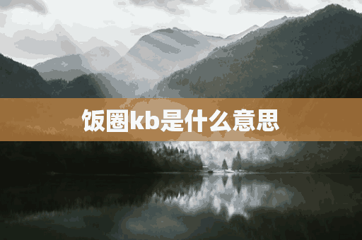 饭圈kb是什么意思